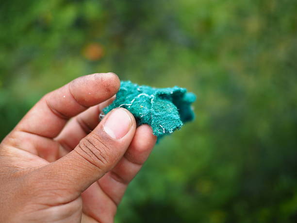 A close view of hydroseeding fiber mulch